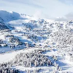 Alpin Peaks מלון *