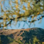 Alpin Peaks Hotel