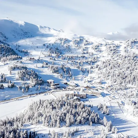 Alpin Peaks Hotel *